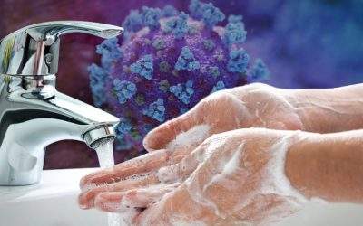 Hand-Washing: Why Wash Your Hands?