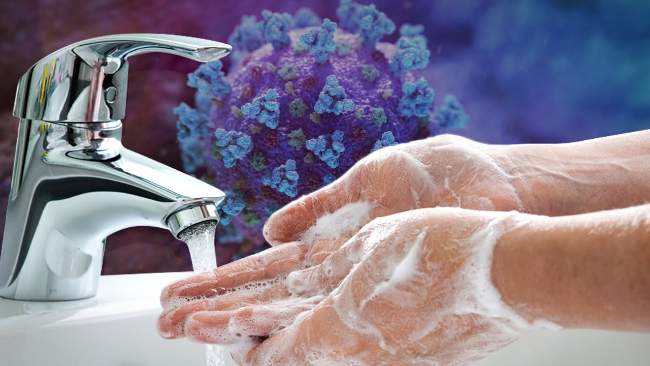 Hand-Washing: Why Wash Your Hands?