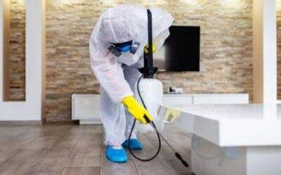 Work With Your Manassas Commercial Cleaning Company To Restart Strong