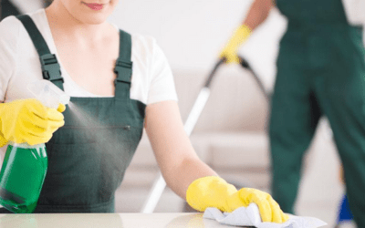 How Professional Cleaners Can Prepare a Property for Lease