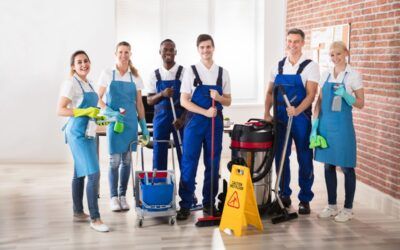 Professional Cleaners: Are You Wasting Time & Money By NOT Hiring Them?