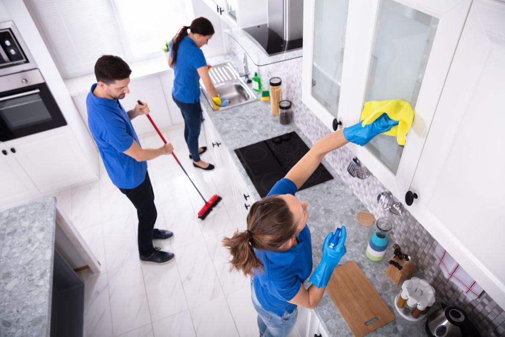 house cleaners