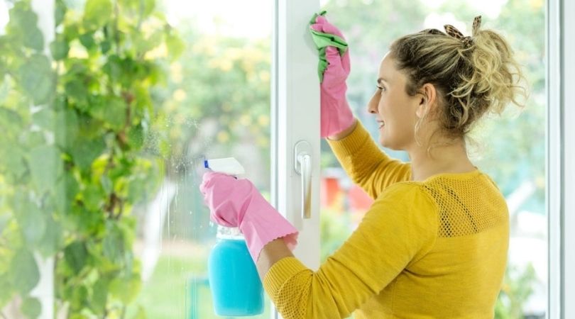 Unveiling the Importance of Residential Window Cleaning