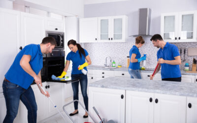 What Do Home Cleaners Do?