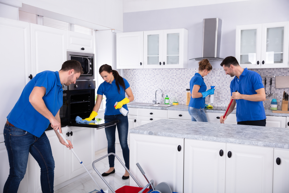 What Do Home Cleaners Do?