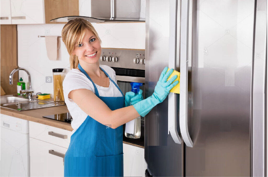 domestic cleaner in northern virginia