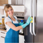 domestic cleaner in northern virginia